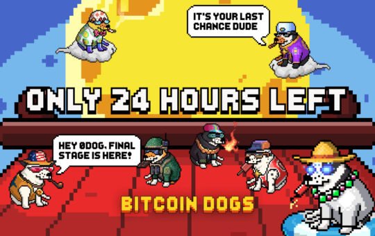 Bitcoin Dogs Raises Over $11.5 Million and Enters Final 24 Hours