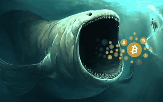 Bitcoin whales