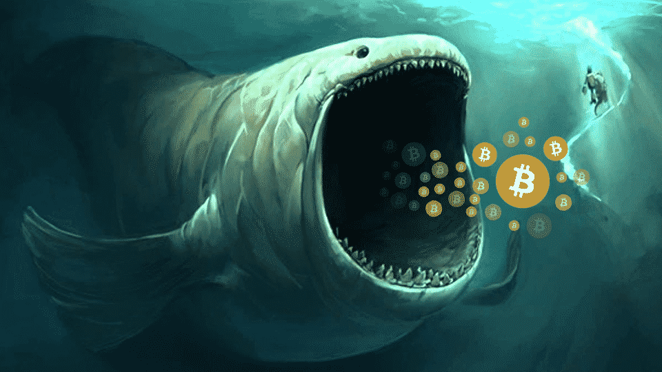 Bitcoin whales