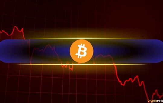 Bitcoin (BTC) Could Witness Further Price Declines if This Happens